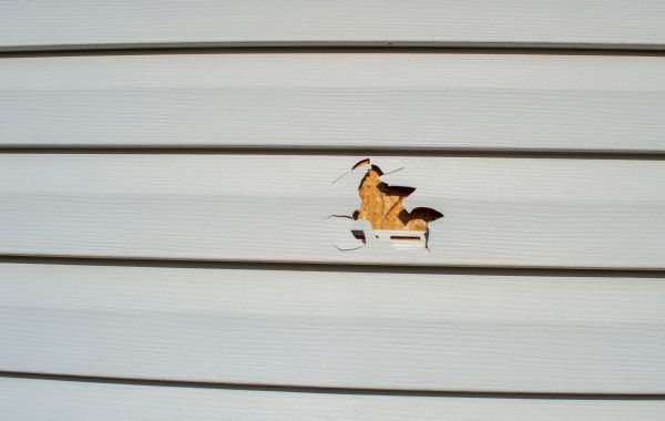 Cost of Siding Hole Repair in Rockville